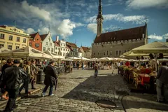Tallinn'de 3 Günlük Rehber - 4