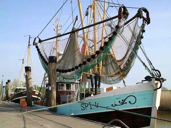 Wurster Nordseeküste şehir görseli