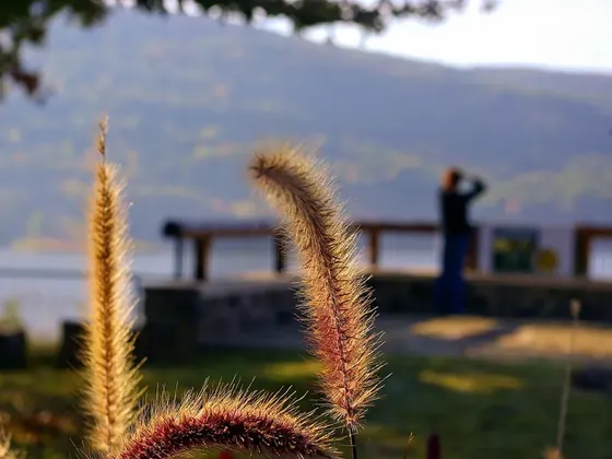 Fort Smith şehir görseli