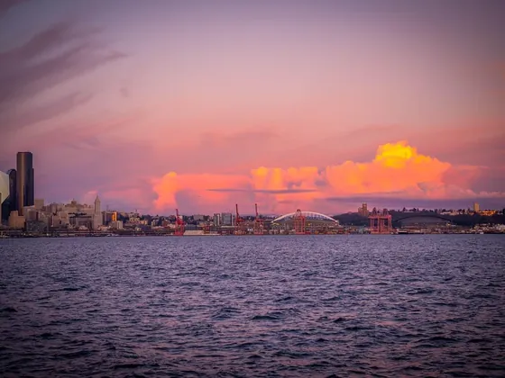 Seattle şehir görseli