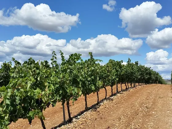 La Rioja şehir görseli