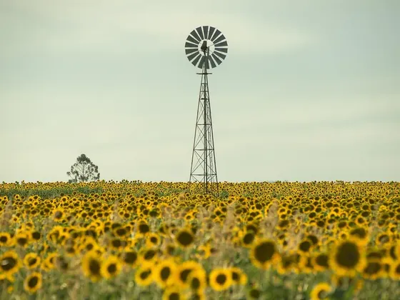 Essendon Fields şehir görseli
