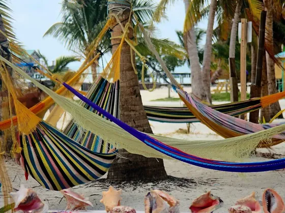 Caye Caulker şehir görseli