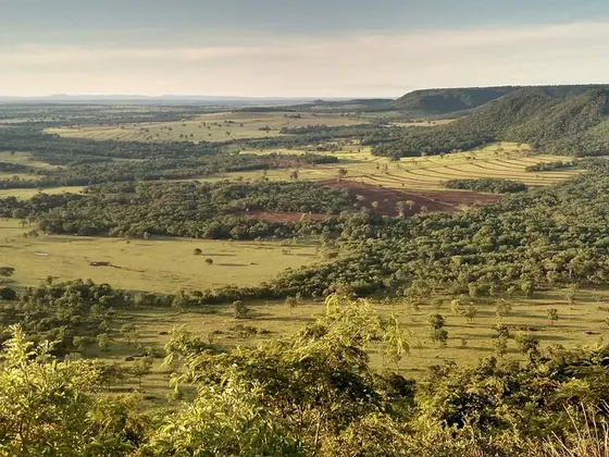 Campo Grande şehir görseli