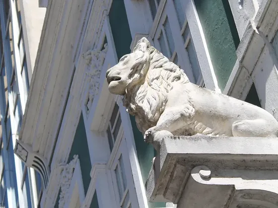 Campos dos Goytacazes şehir görseli