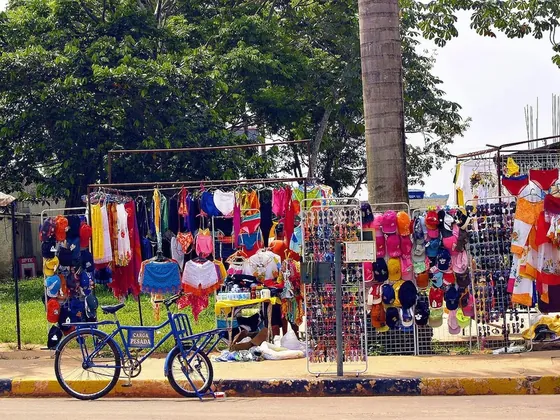 Manaus şehir görseli