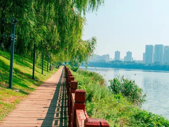 Shenyang şehir görseli