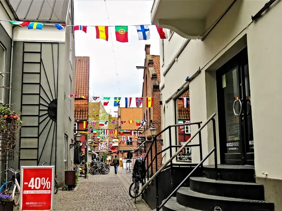 Odense şehir görseli
