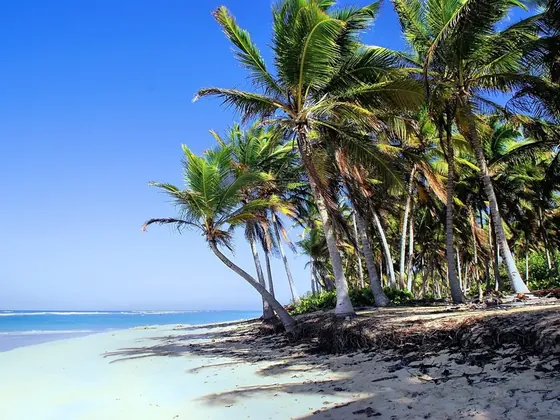 Punta Cana şehir görseli