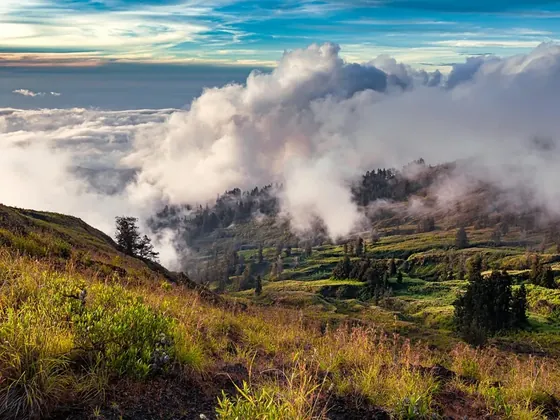 Sumbawa Besar şehir görseli