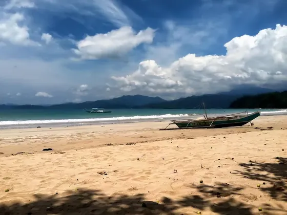 Puerto Princesa şehir görseli