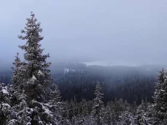Kuusamo şehir görseli