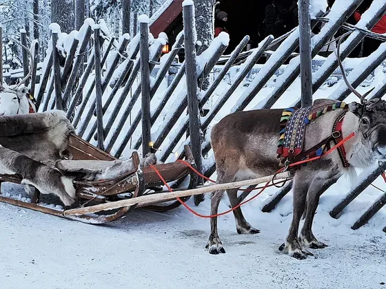 Rovaniemi şehir görseli