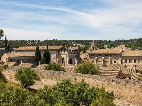 Avignon şehir görseli