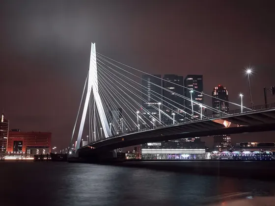 Rotterdam şehir görseli