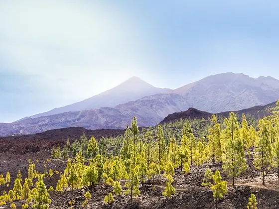 El Hierro Island şehir görseli