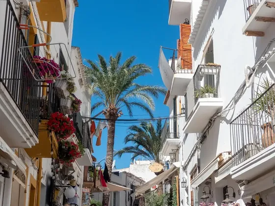 Ibiza şehir görseli