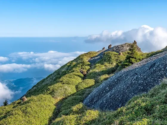 Yakushima şehir görseli