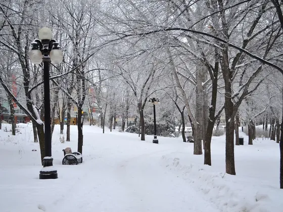 Winnipeg şehir görseli