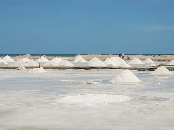 Riohacha şehir görseli