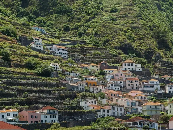 Madeira şehir görseli