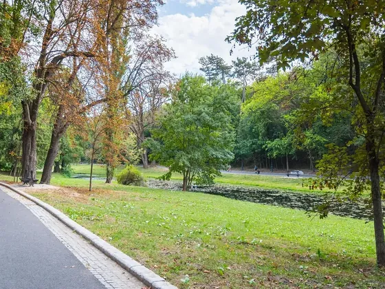 Craiova şehir görseli
