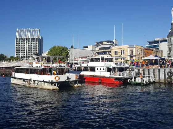 Valdivia şehir görseli