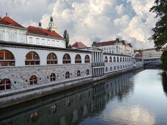 Ljubljana şehir görseli