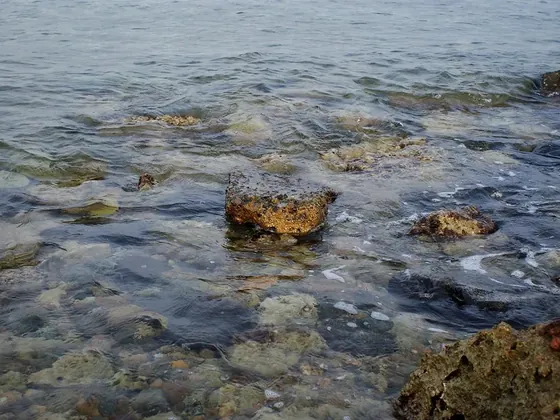 Jeddah şehir görseli