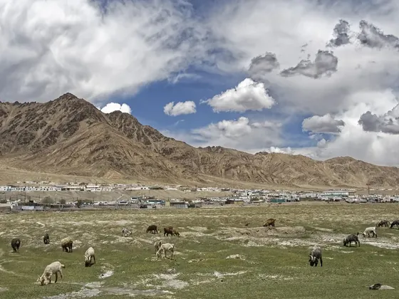 Bokhtar şehir görseli