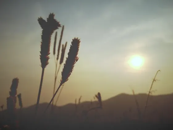 Mae Hong Son şehir görseli