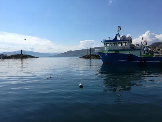 Ordu şehir görseli
