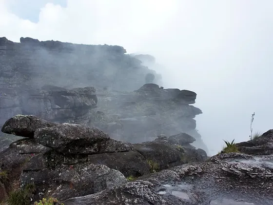 Canaima şehir görseli