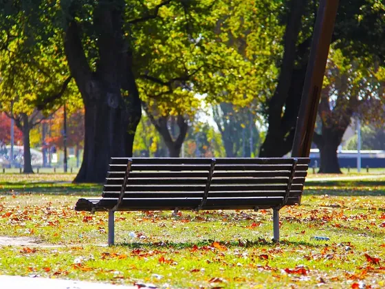 Christchurch şehir görseli
