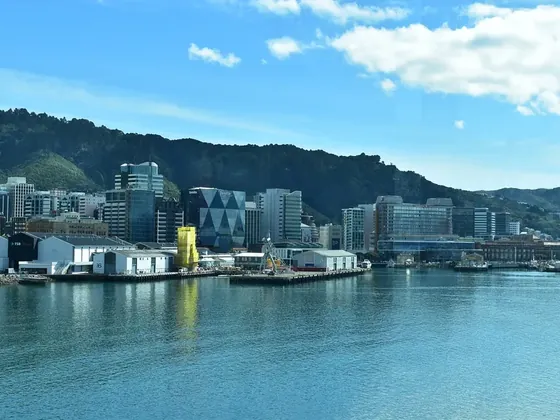 Wellington şehir görseli