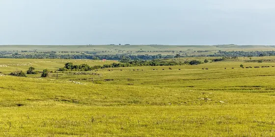 Kansas görseli