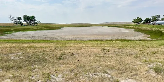 Nebraska görseli