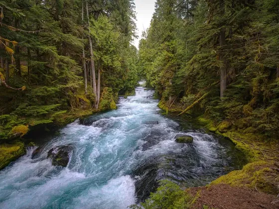 Oregon görseli