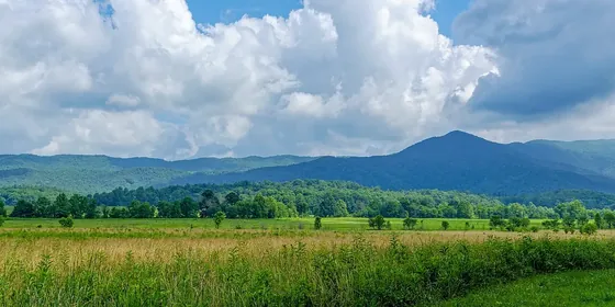 Tennessee görseli
